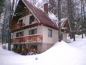 Hotels in Trnovo